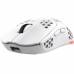 Gaming Maus Trust GXT 929 Weiß 4800 dpi