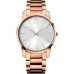 Ανδρικά Ρολόγια Calvin Klein CITY (Ø 43 mm)