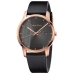 Horloge Heren Calvin Klein CITY (Ø 43 mm)