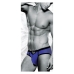 Classic underpants Envy Purple L/XL