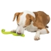 Dog chewing toy Trixie TX-34931 Green Thermoplastic animals