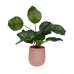 Decoratieve plant Versa 15 x 44 x 15 Cement Plastic