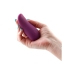 Vibrador NS Novelties Desire Roxo