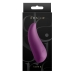 Vibrador NS Novelties Desire Roxo