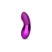 Vibrador Le Wand Point Cherry Roxo