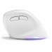 Mouse Bluestork Demi-Sphere Bianco