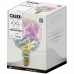 LED-Lampe Calex 4 W