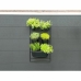 Planter Nature Black Metal Rectangular