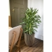 Planter Capi Europe Gyllen Plast Sirkulær Ø 27 cm