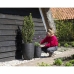 Planter Capi Europe Svart Plast Sirkulær 34 x 34 x 46 cm