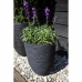 Planter Capi Europe Svart Plast Sirkulær 34 x 34 x 46 cm