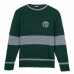 Jersey Unissexo Harry Potter Verde