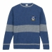 Uniseks Trui Harry Potter Blauw