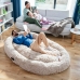 Koiran vuode ihmisille | Human Dog Bed XXL InnovaGoods Beige (Kunnostetut Tuotteet B)