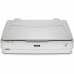 Skanneri Epson Expression 13000XL