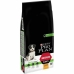 Foder Purina 12367294 Vuxen Kyckling 12 kg