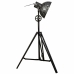 Gulvlampe Alexandra House Living Sort 25 x 138 x 30 cm