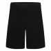 Pantalón para Adultos Converse Lifestyle Knitxtured S Negro Infantil Hombre