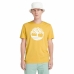 Camisola de Manga Curta Homem Timberland Kennebec River Tree Logo Short Amarelo