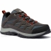 Hardloopschoenen voor Volwassenen Columbia Crestwood™ Grijs