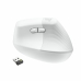 Bezvadu Pele Logitech 910-006496 Balts 4000 dpi