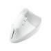 Mouse senza Fili Logitech 910-006496 Bianco 4000 dpi