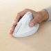 Mouse senza Fili Logitech 910-006496 Bianco 4000 dpi