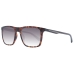 Gafas de Sol Hombre Police SPLF17 540978