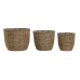 Conjunto de vasos Home ESPRIT Castanho Fibra Tropical 31 x 31 x 24 cm