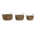 Plantenbakkenset Home ESPRIT Bruin Metaal Vezel Tropisch 34 x 33 x 15 cm