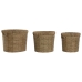 Conjunto de vasos Home ESPRIT Castanho Metal Fibra Tropical 36 x 36 x 29 cm