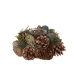 Centerpiece Romimex Brown Green Pine cone 8 x 18 x 8 cm