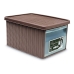 Box mit Deckel Stefanplast Stefanplast_30002 29 x 21 x 39 cm Beige