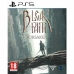 Gra wideo na PlayStation 5 Just For Games Bleak Faith : Forsaken