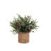 Plante décorative Romimex Vert Beige Gui Sapin 30 x 30 x 30 cm