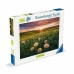 Palapeli Ravensburger Dandelions