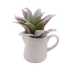 Decoratieve plant Versa Keramisch Plastic 11,43 x 11,94 x 11,43 cm