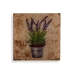 Glezna Versa Lavanda Stikls 1 x 30 x 30 cm