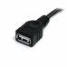 Cable USB Startech USBEXTAA3BK          USB A Negro