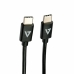 Kabel USB C V7 V7USB2C-2M Černý