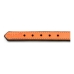 Dog collar Gloria Padded Orange (40 x 2 cm)