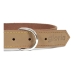 Collar para Perro Gloria Oasis Beige (1,2 x 35 cm)