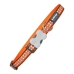 Hondenhalsband Red Dingo Reflecterend Botten Oranje (1,5 x 24-36 cm)