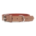 Hondenhalsband Gloria Oasis Bruin (40 x 1,5 cm)