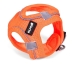 Hundesele Gloria Air Mesh Trek Star Justerbar Orange Størrelse XXXS (18-20 cm)