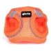 Imbracatura per Cani Gloria Air Mesh Trek Star Regolabile Arancio Taglia XXXS (18-20 cm)