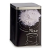 Lata de Metal Flour Preto Metal Branco 1 L