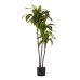 Decoratieve plant Plastic Breed mes 70 x 120 x 70 cm