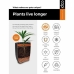 Planter Capi Europe Nature Rib Anthracite Plastic