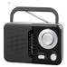 Radio TM Electron Negru